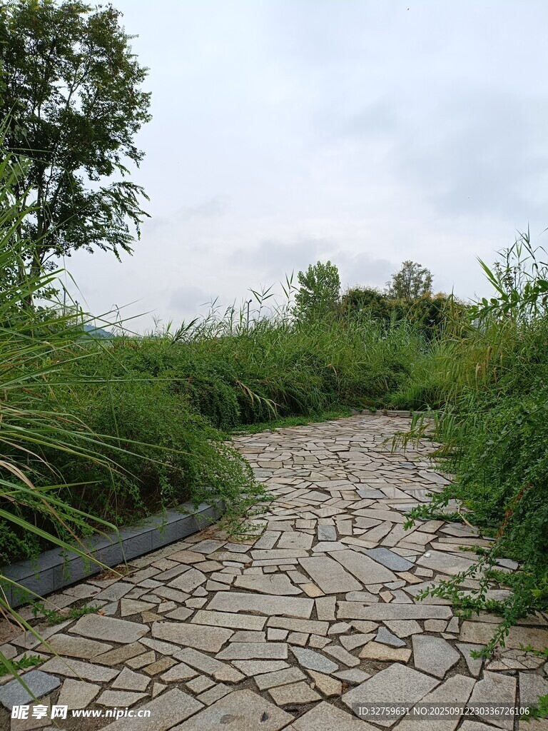 石径蜿蜒于葱郁草木间