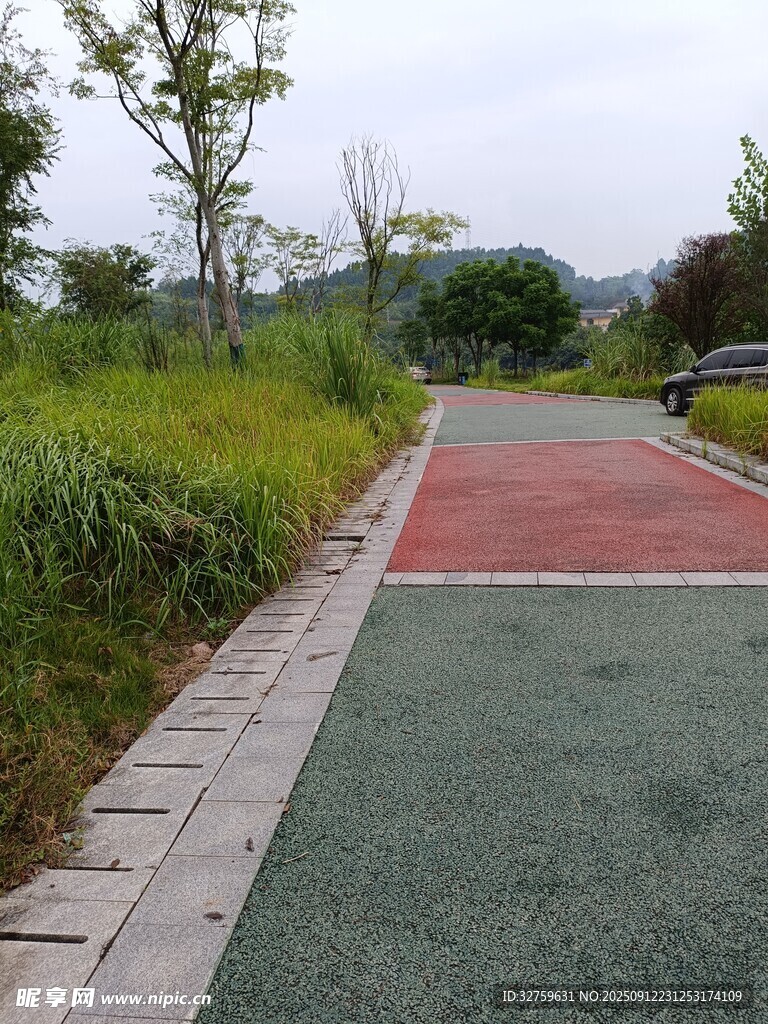 彩色步道旁的绿意景致