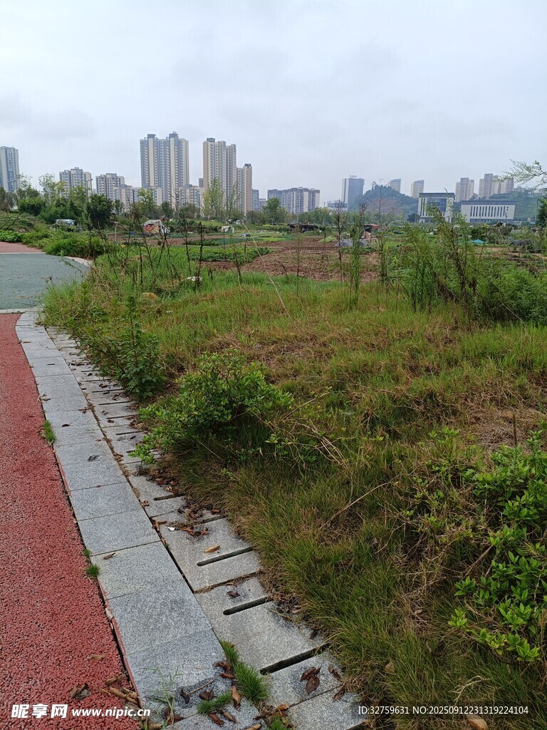城郊荒废草地与步道景观
