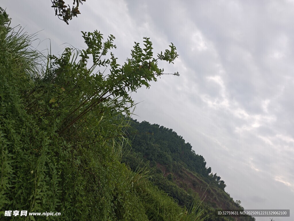 山间绿植与朦胧天空景色