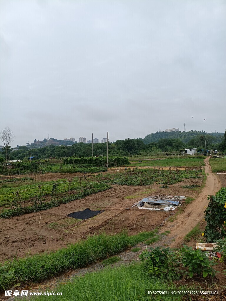 乡村田野风光景色