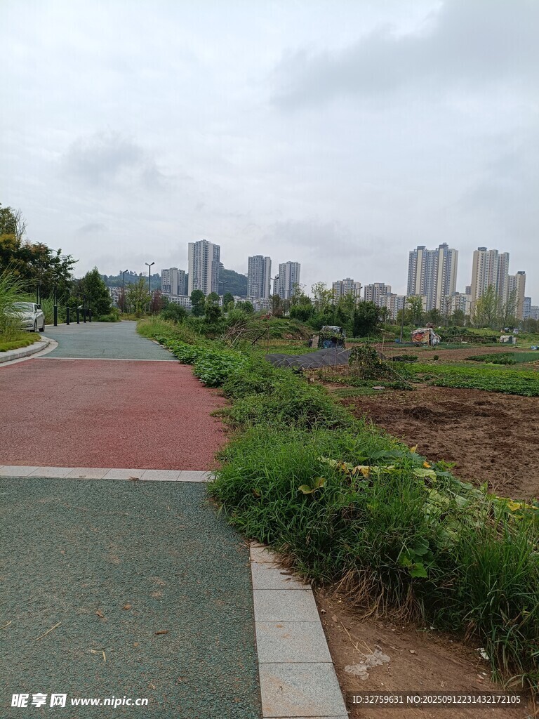 城市旁的多彩步道景观
