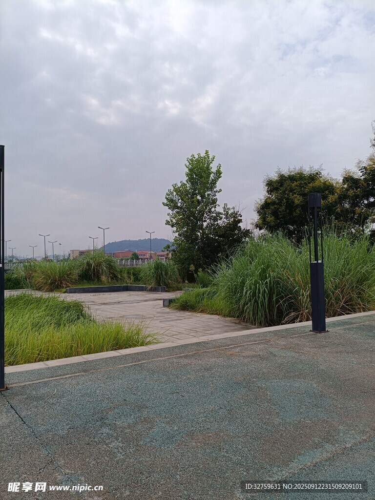 户外开阔道路与绿植景观