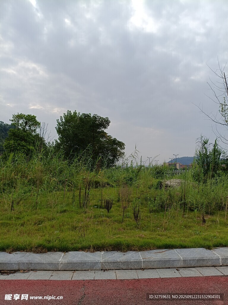 户外草地景观