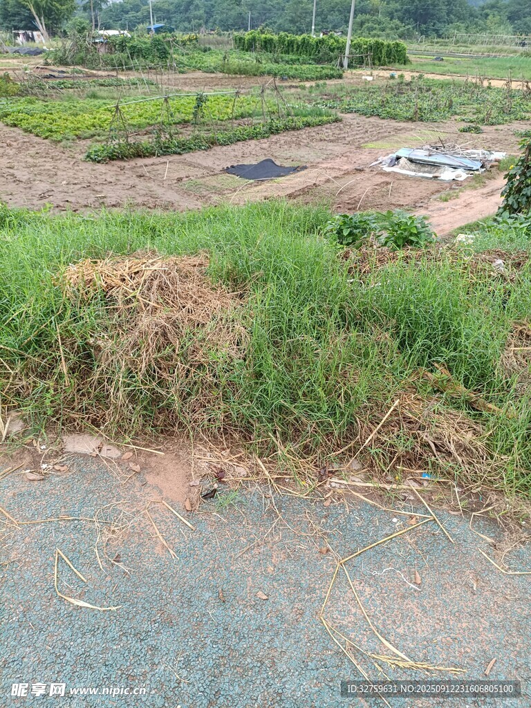 乡村田野边的道路景象