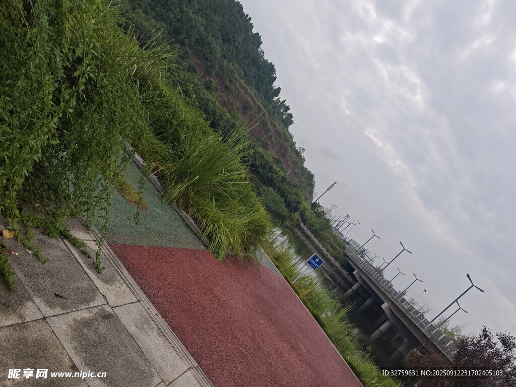 乡村户外景色