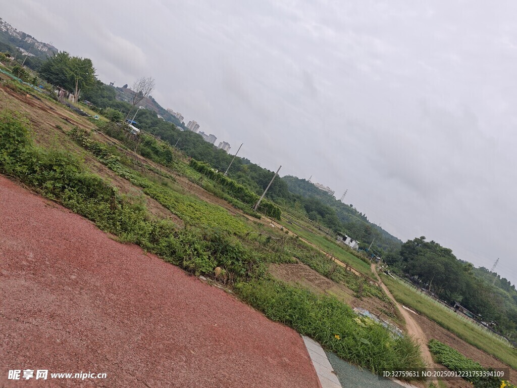 乡村田野间的红色步道