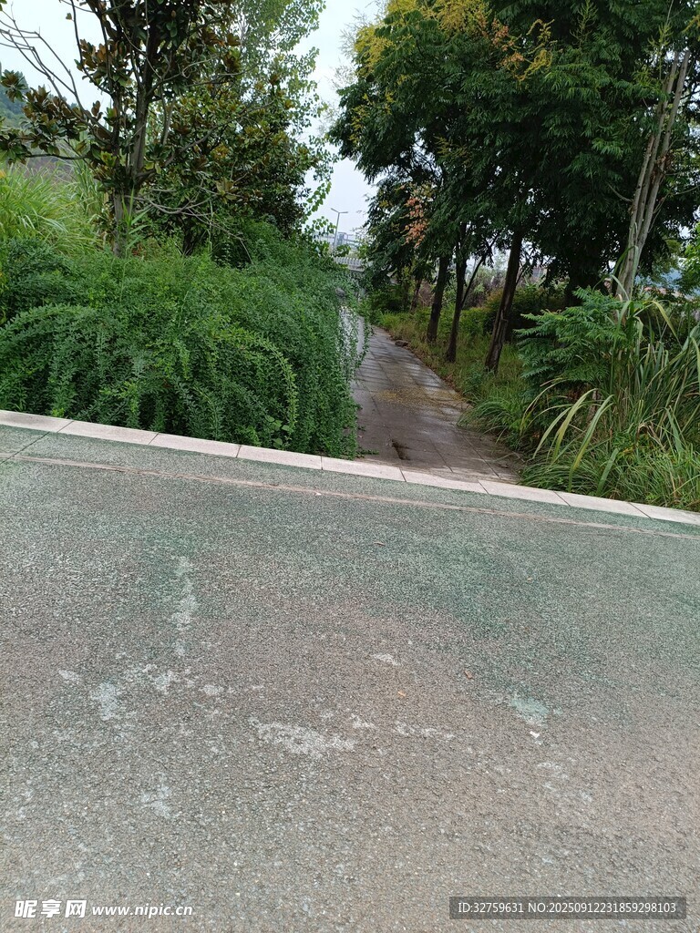 林间水泥路 