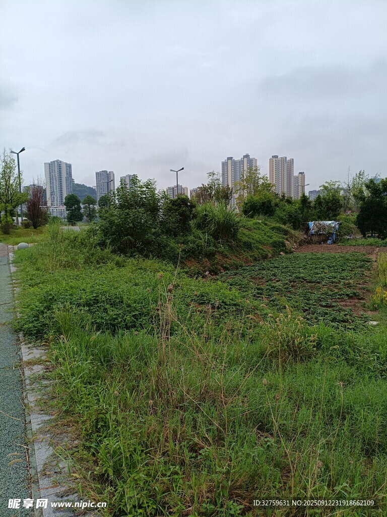 城郊草地与远处建筑景观