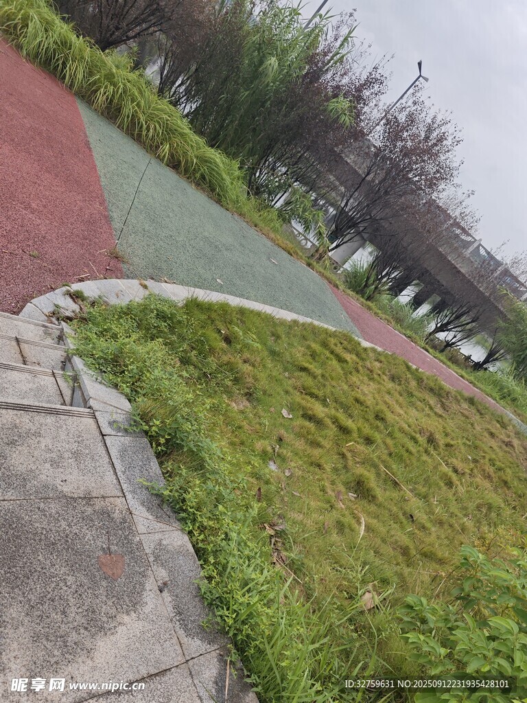 户外彩色步道旁的绿地