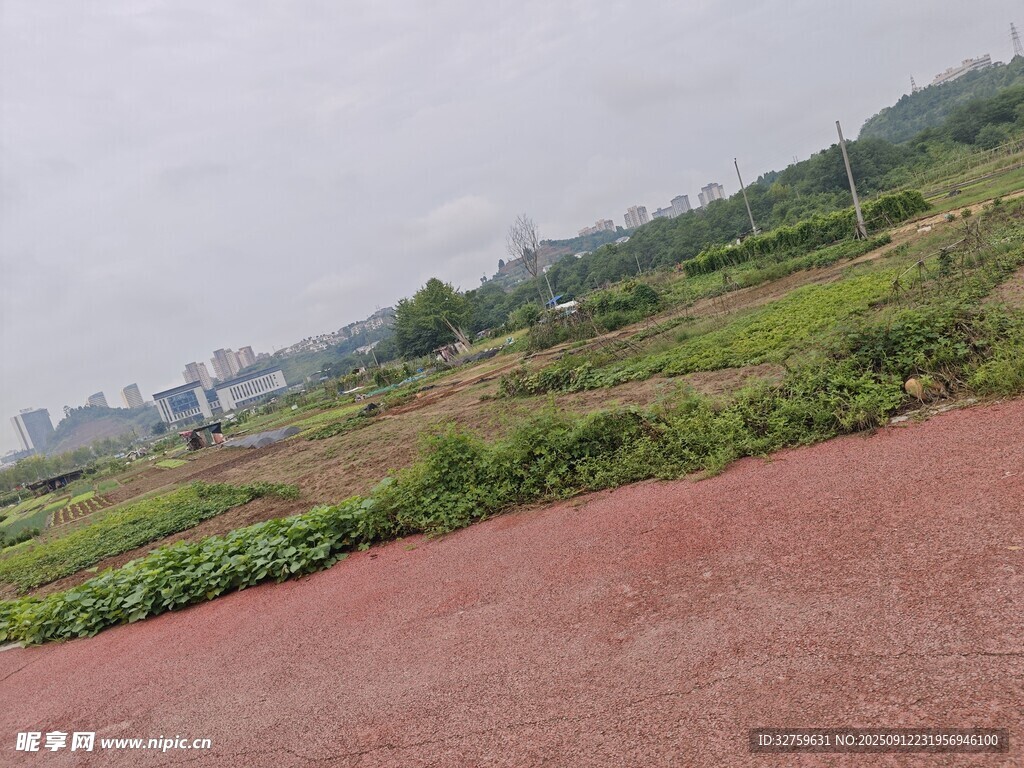 乡村田野边的红色小路