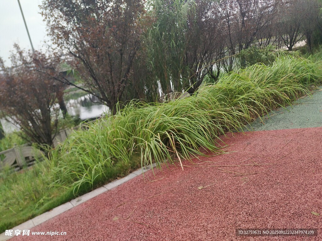 公园彩色步道旁绿植景观