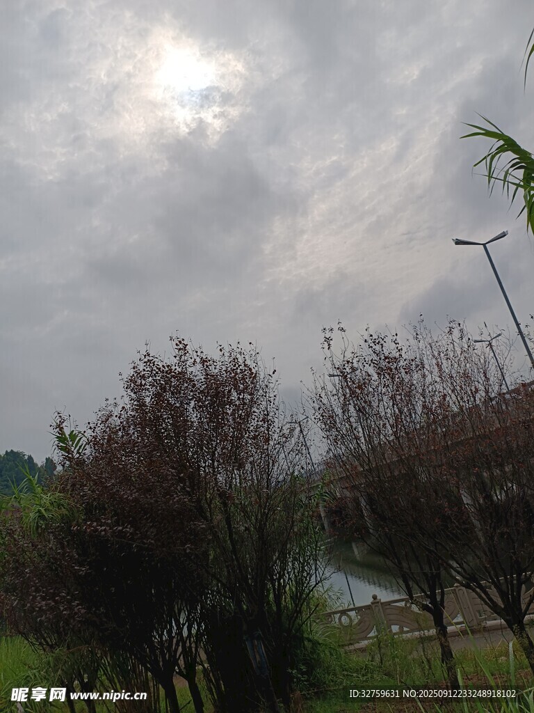 阴天时的户外自然景观