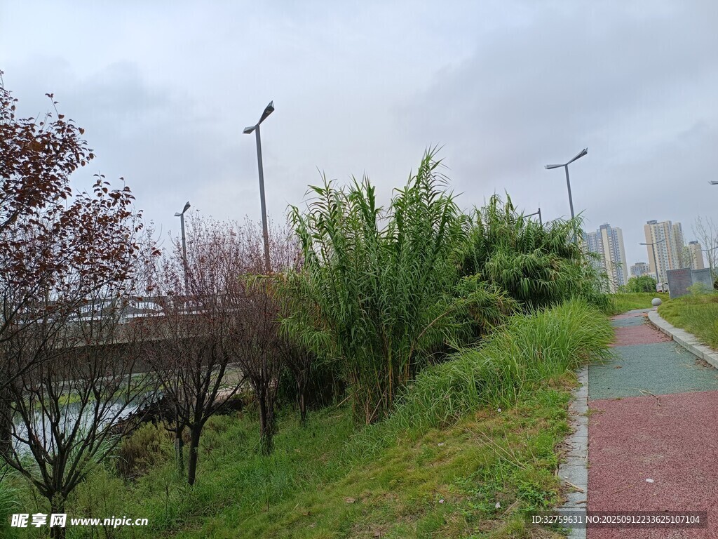 城市河畔的美丽步道景观