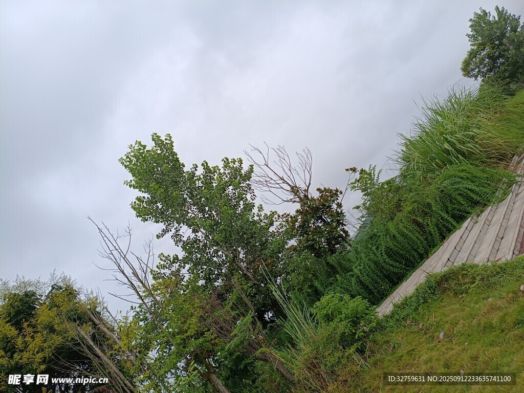 山间绿植与小径风景