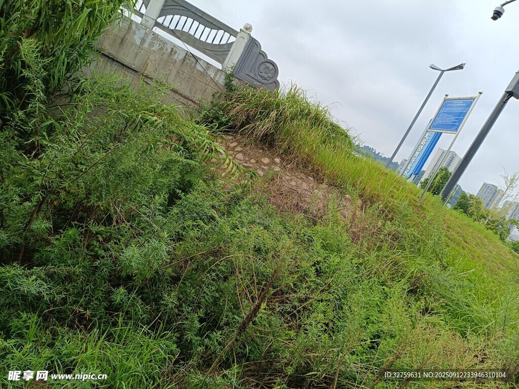户外草地与远处建筑景观