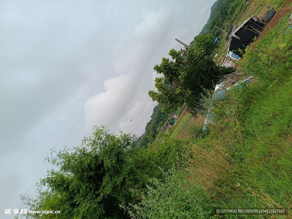 乡村野外绿意盎然景象