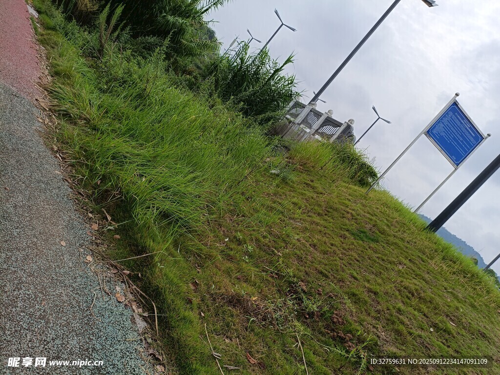 路边草地与蓝色标识牌