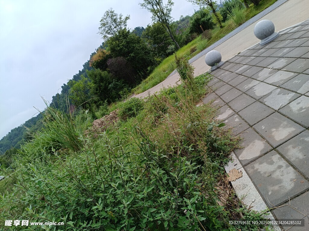 户外绿植与砖石路面景观