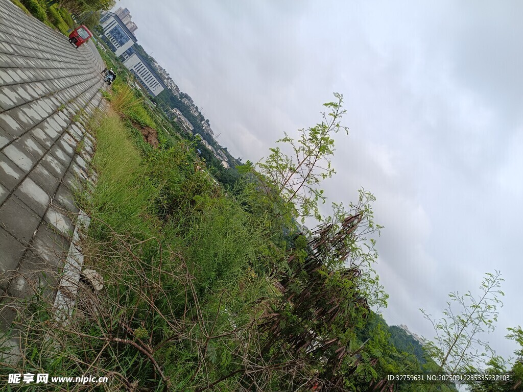 户外草地与砖石路景观