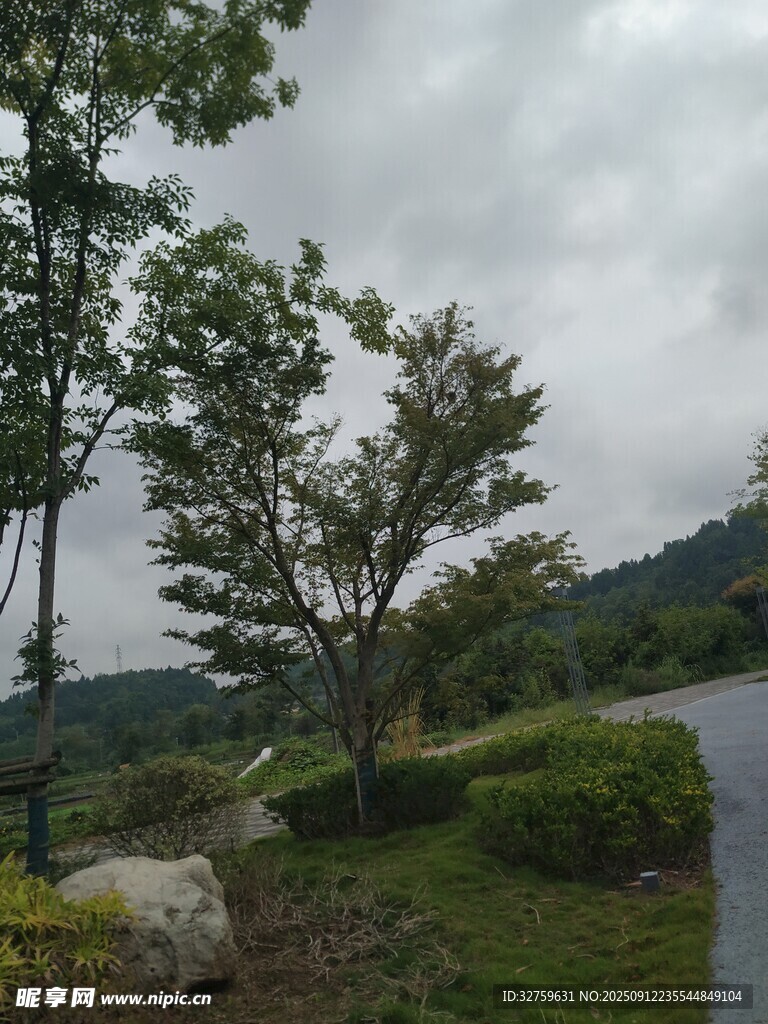 山间小径旁的绿树与巨石