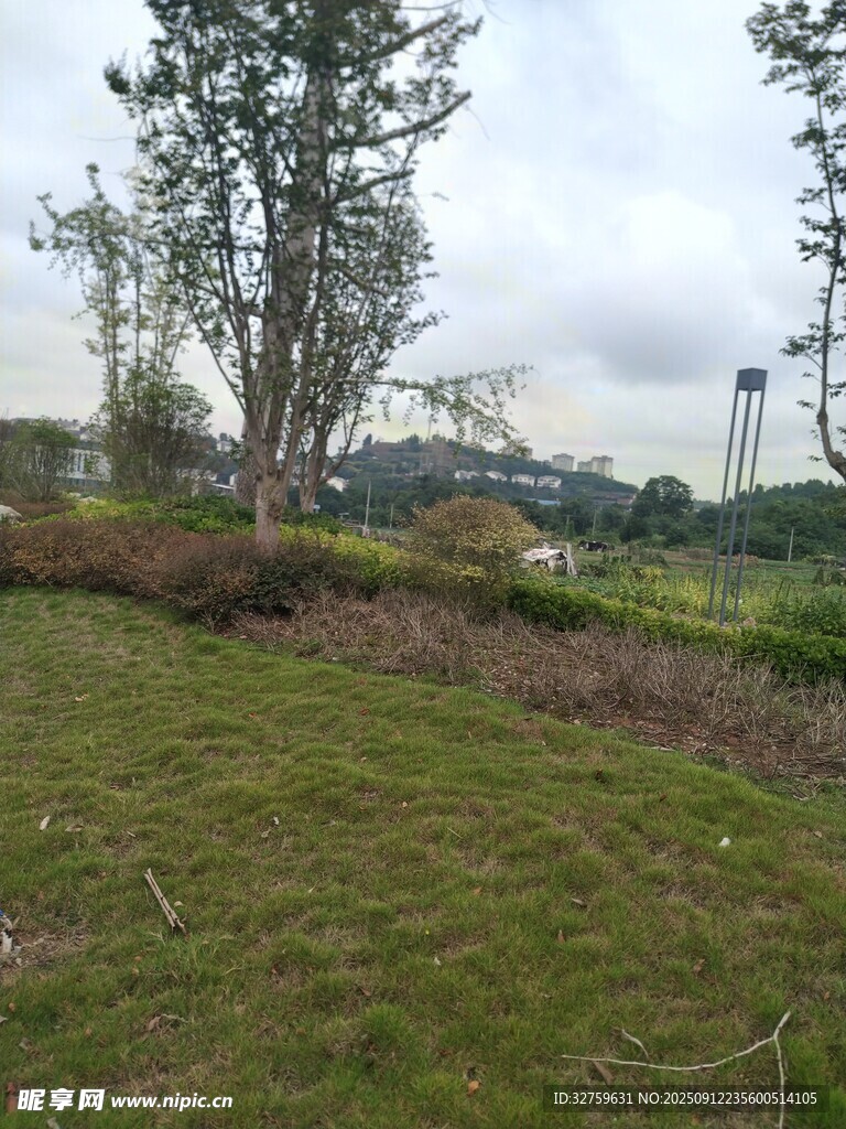 户外草地树木自然风景