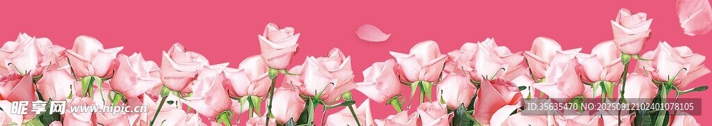 粉色浪漫郁金香花卉图