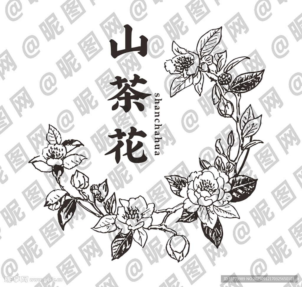 山茶花手绘图案设计素材
