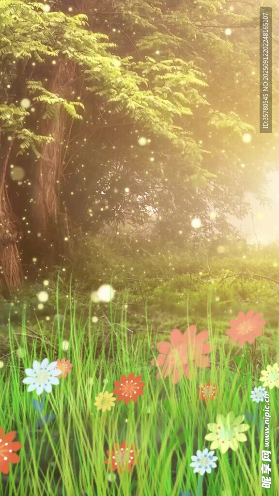 春日繁花草地林间美景