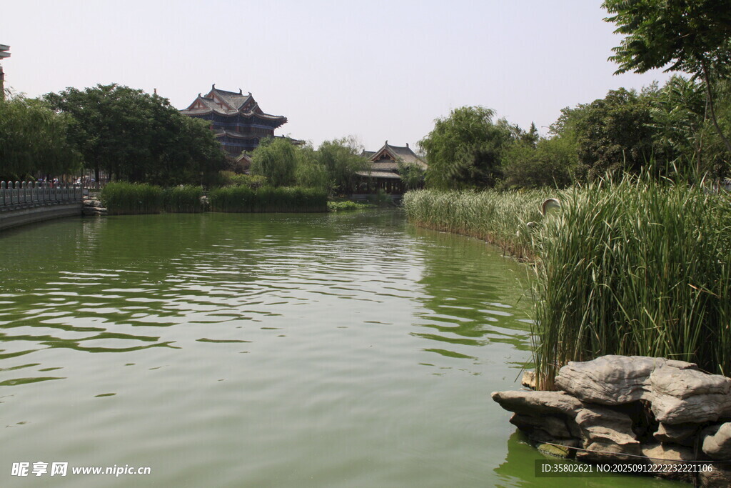 湖畔风光静谧水乡景致
