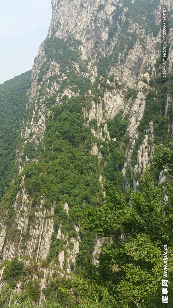 巍峨青山覆绿植