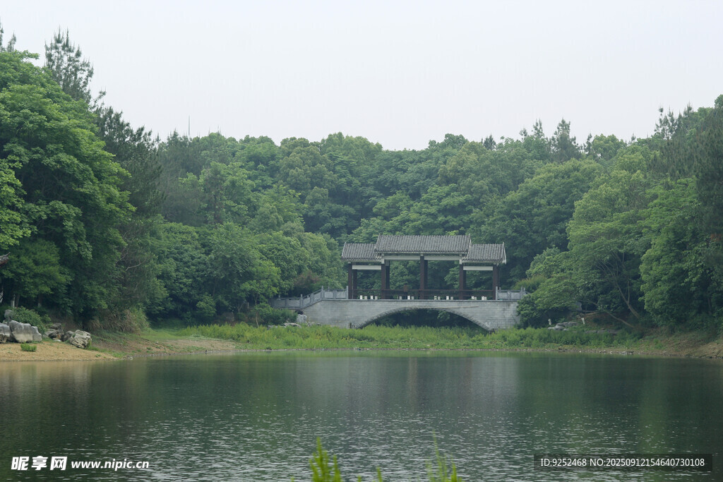 湖 桥