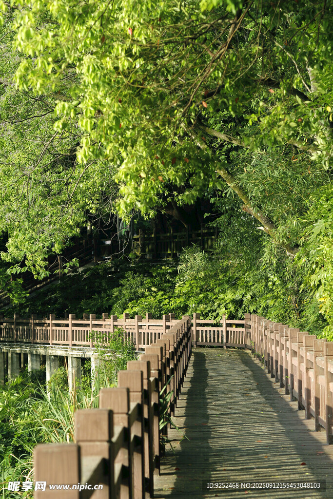  木栈道