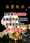 生蚝