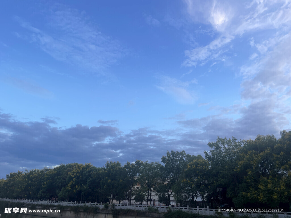 湖畔蓝天绿树美景
