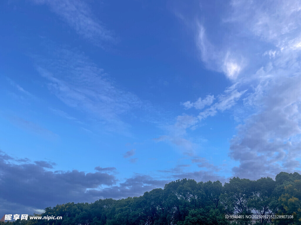 蓝天绿树间的美丽景致