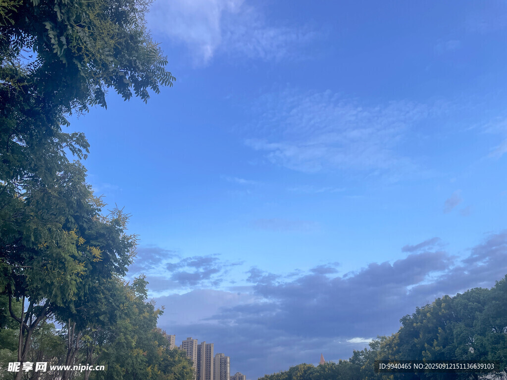 蓝天绿树间的美好景致