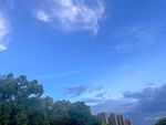 蓝天绿树间的城市风光