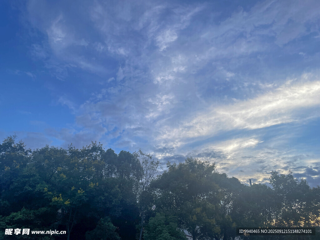 蓝天绿树间的美丽天空
