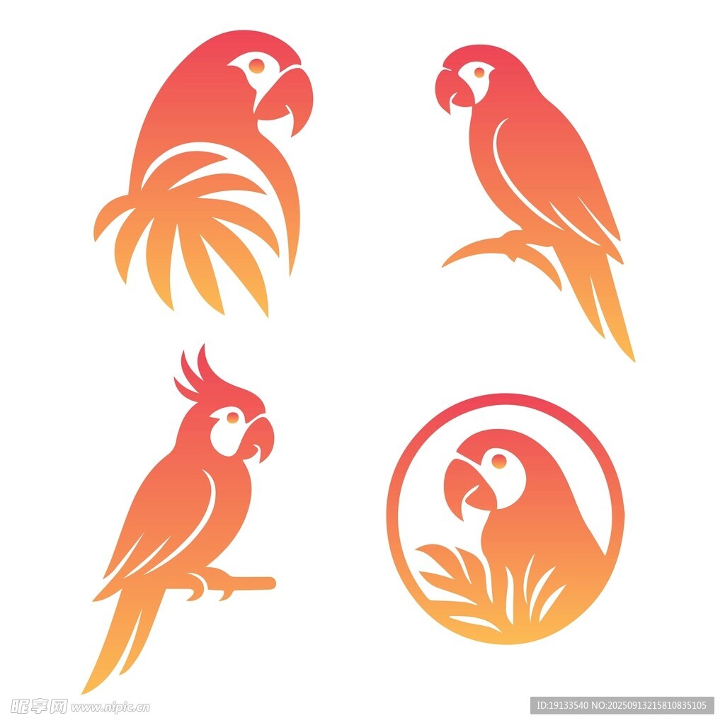鹦鹉图案 