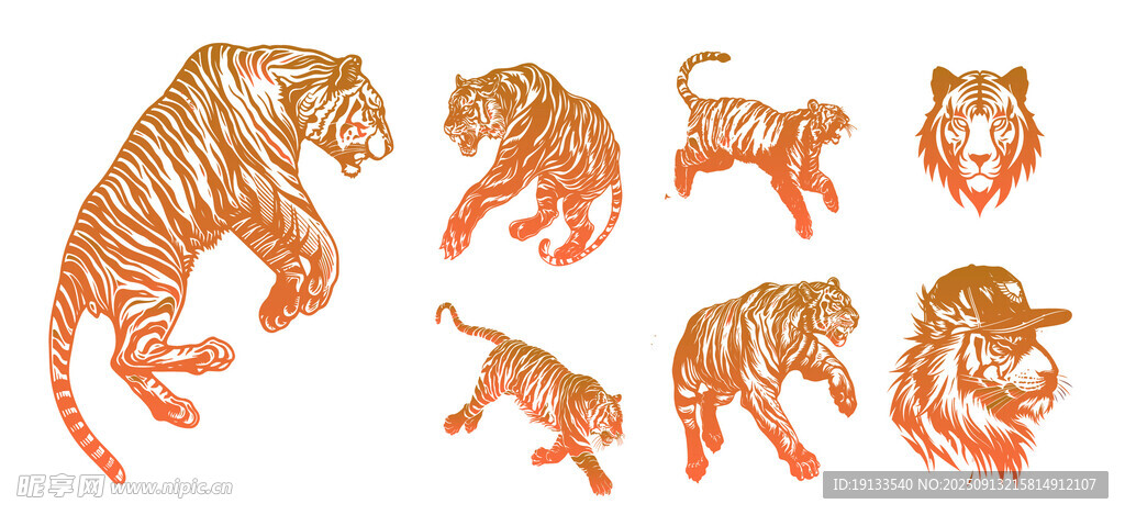 老虎插画