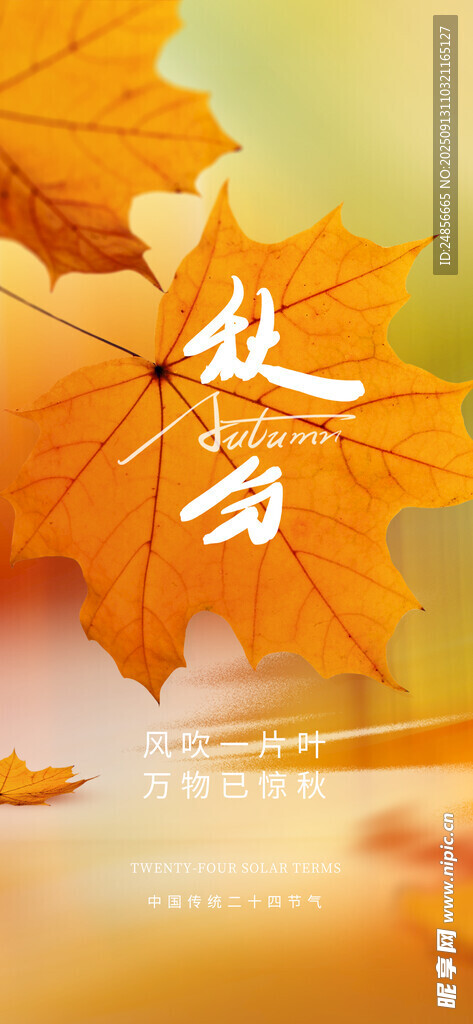 秋分海报 秋分节气 秋分微信 