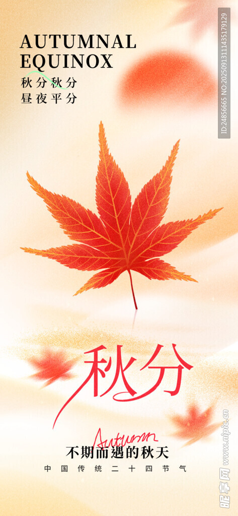秋分宣传海报