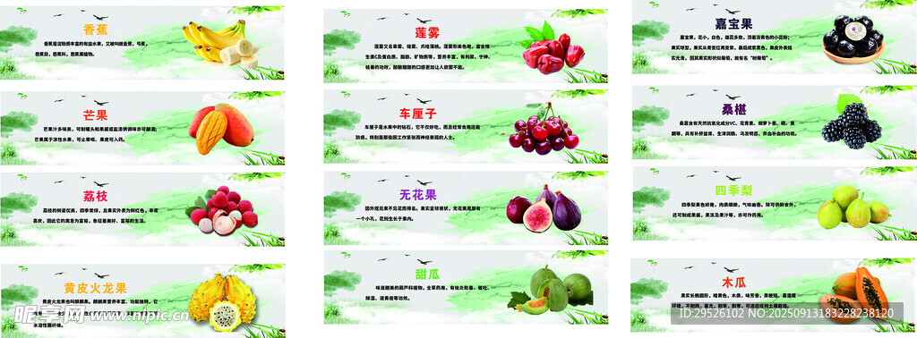 水果介绍