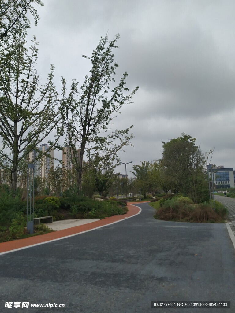 户外空旷道路与绿植景观