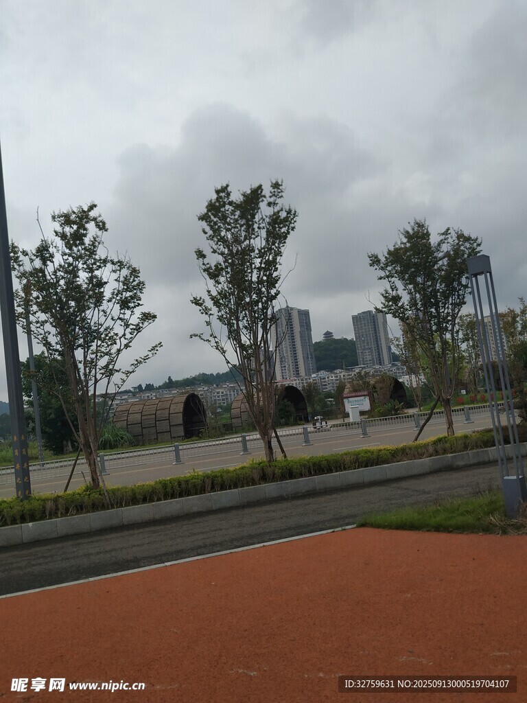 城市道路旁的绿树景观