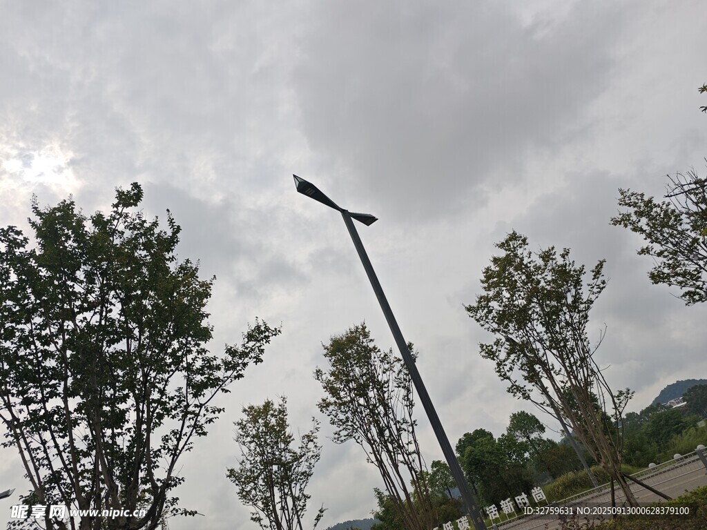阴天中的路灯与树木