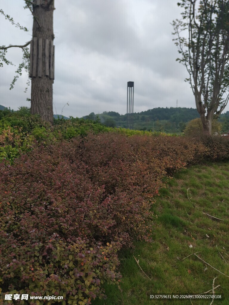 郊外绿植与远处高塔景观