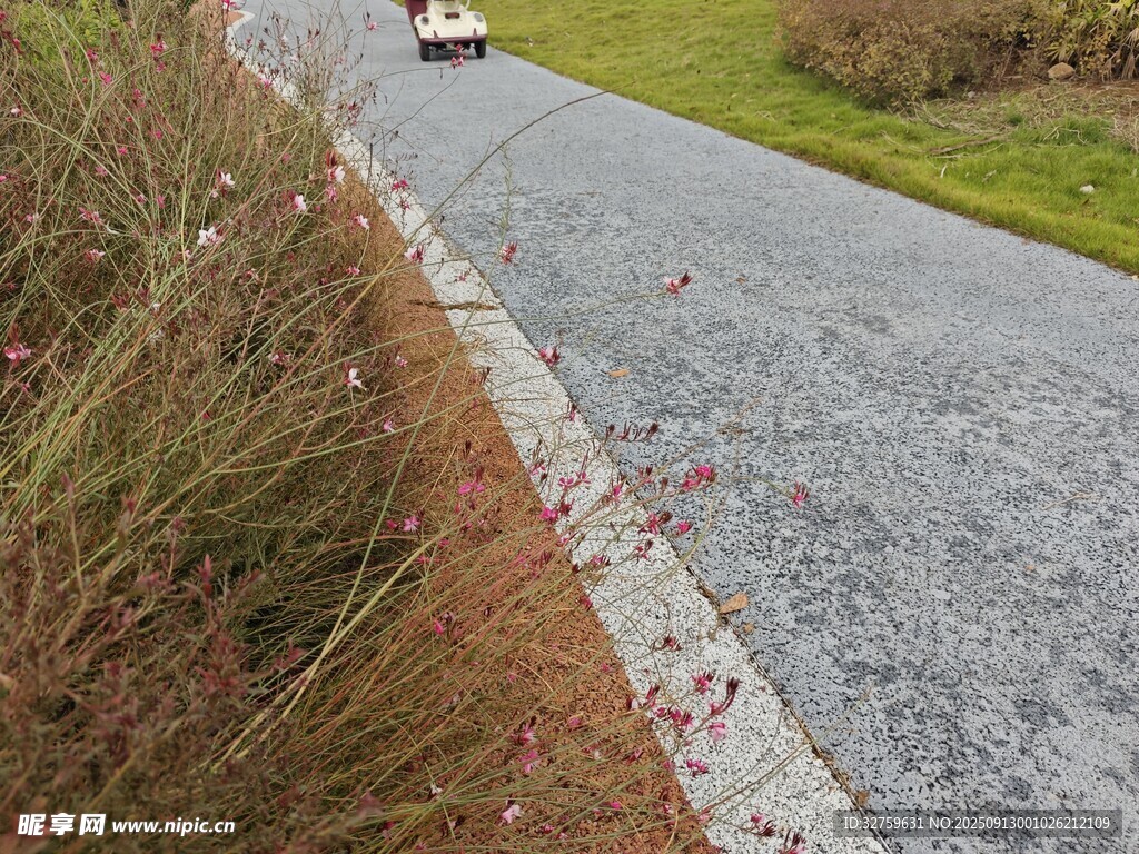 蜿蜒公路上行驶的车辆