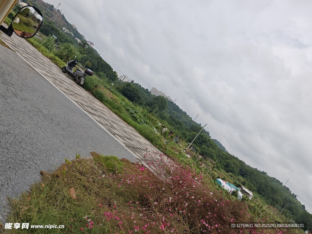 乡村公路旁的自然景致